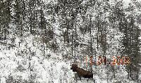 DSCN0850.JPG