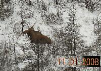 DSCN0854.JPG