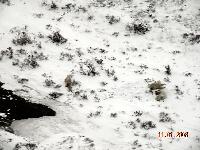 DSCN0871.JPG