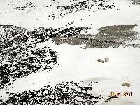 DSCN0878.JPG