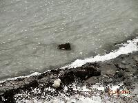 DSCN0879.JPG