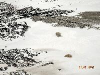 DSCN0881.JPG