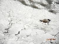 DSCN0884.JPG